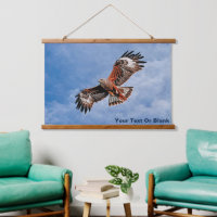 Soaring Red Kite