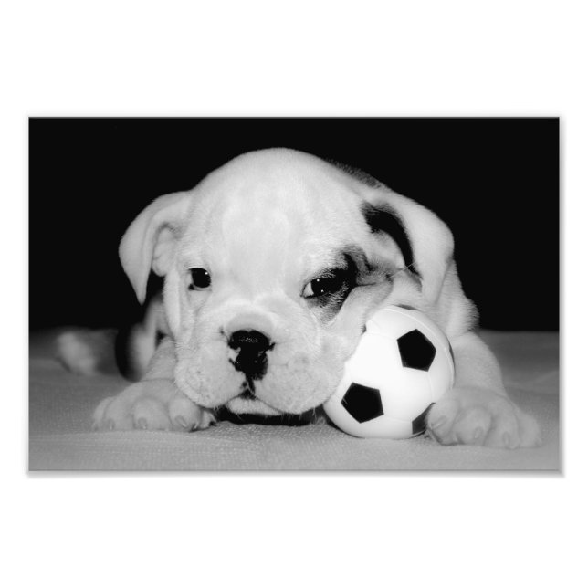 "Soccer Puppy" Fotodruck (Vorne)