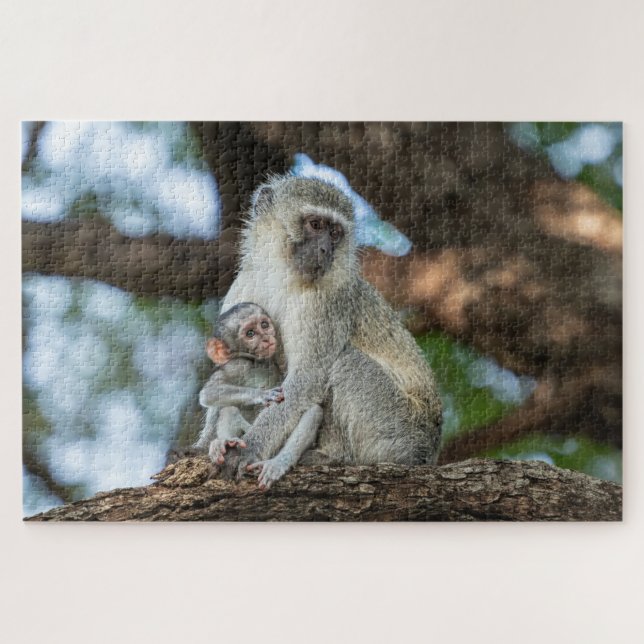 Social Monkey – Afrikanisches Tierfoto (Horizontal)