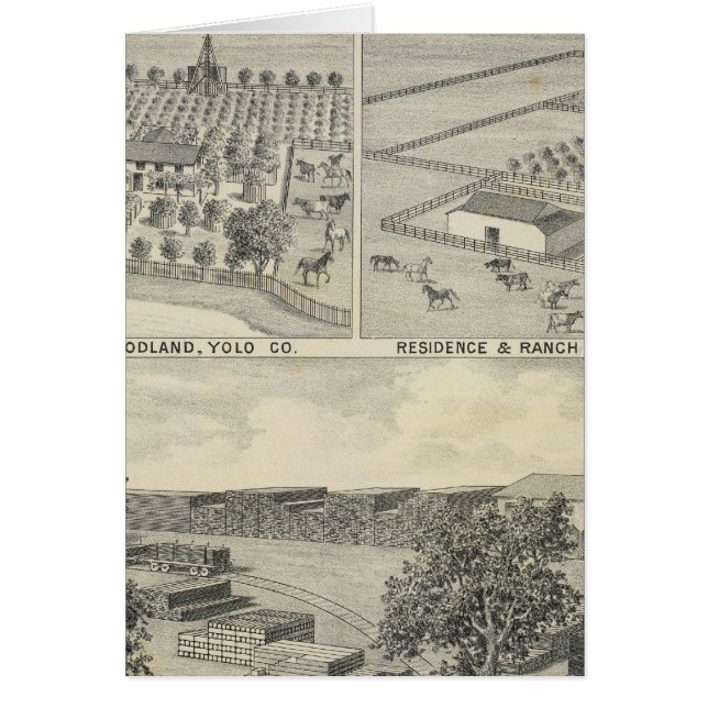 Société du bois (Devant)