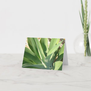 Socken der Sonne v2 Karte