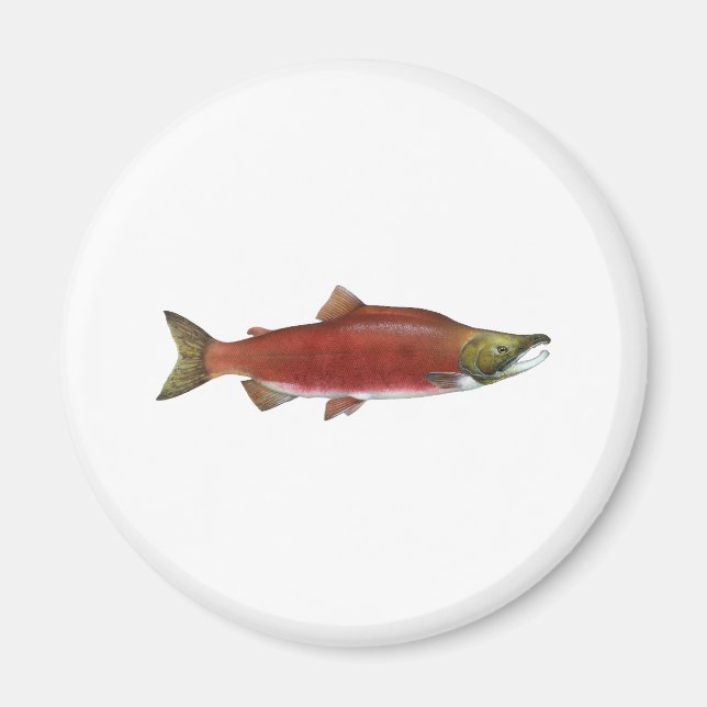 Sockeye Lachs Magnet (Vorne)
