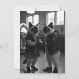 SockHop-Kätzchen