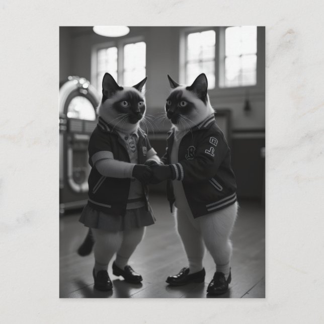 SockHop-Kätzchen Postkarte (Vorderseite)