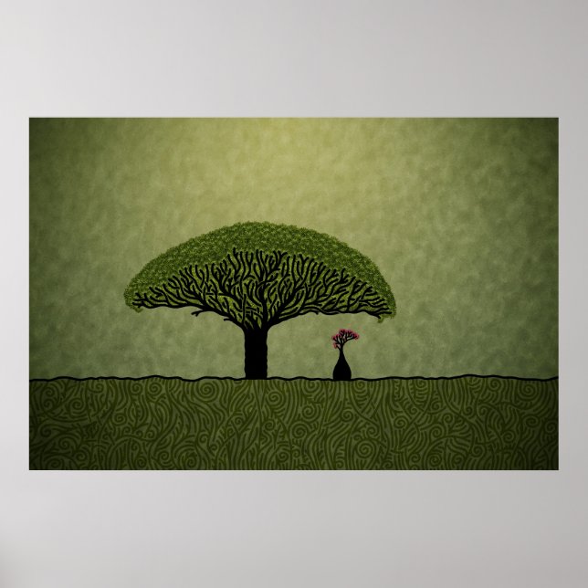 Socotra Poster (Vorne)