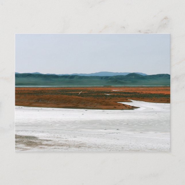 Soda Lake, Carrizo Schlichtes Nationaldenkmal CA Postkarte (Vorderseite)