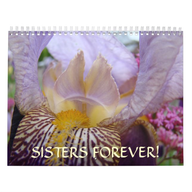 SOEURS POUR TOUJOURS ! Le calendrier irise des (Protection)