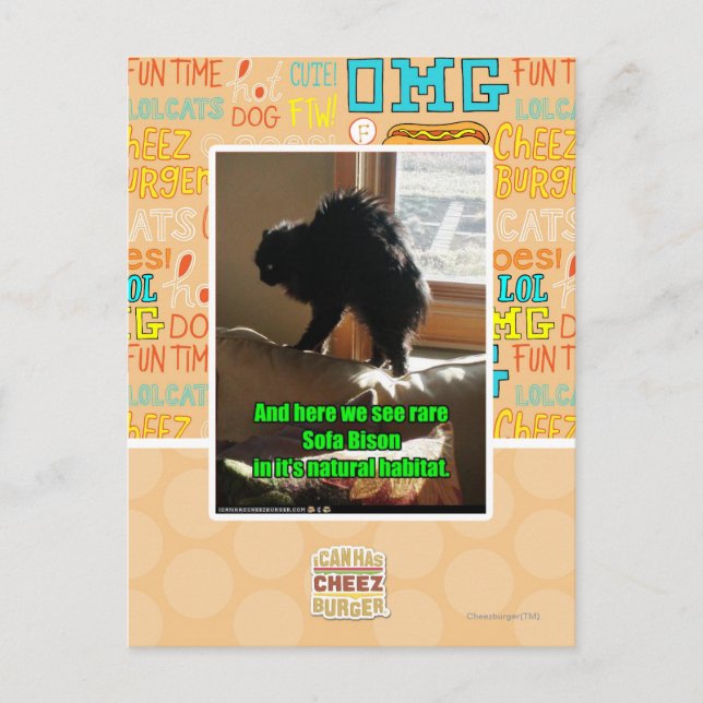 Sofa Bison Postkarte (Vorderseite)