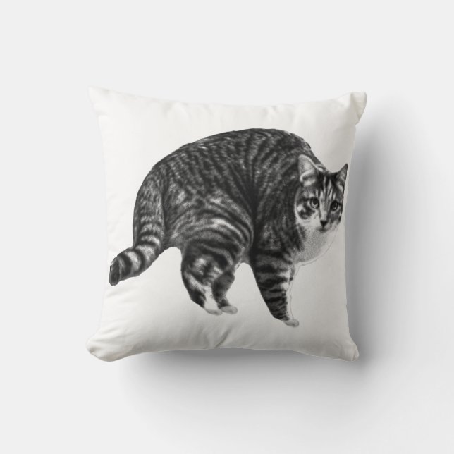 Sofa-Light Tabby Willkommen Kissen (Vorderseite)