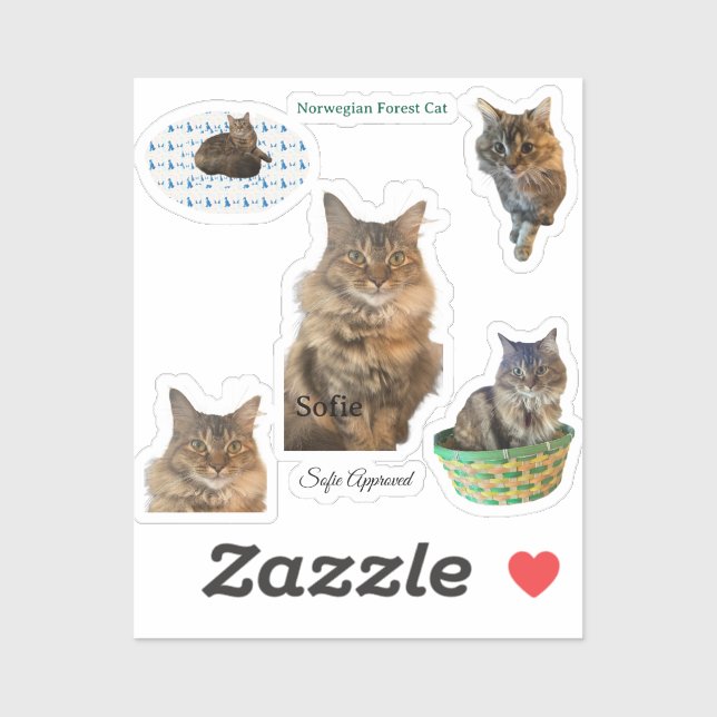 Sofie genehmigte Norwegische Waldkatze Vinyl Stick Aufkleber (Blatt)