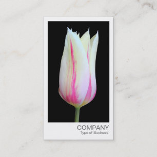 Sofortiges Foto - Tulip Visitenkarte