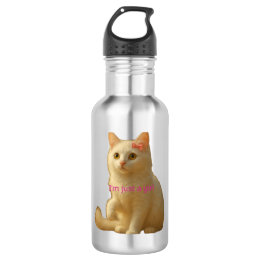 Soft Aesthetic Cat Meme and Feminine  Edelstahlflasche