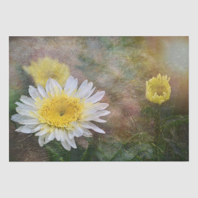 Soft and Dreamy Daisy Seidenpapier (Vorderseite)