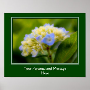Soft Blue Hydrangea Blume Personalisiert Poster