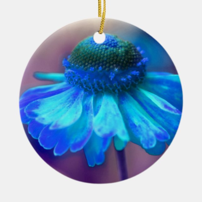 Soft Blue Zinnia Blume Ornament (Vorne)