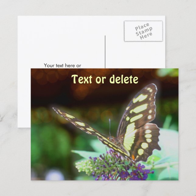 Soft Butterfly On Flower Nature Photo Personalized Postkarte (Vorne/Hinten)