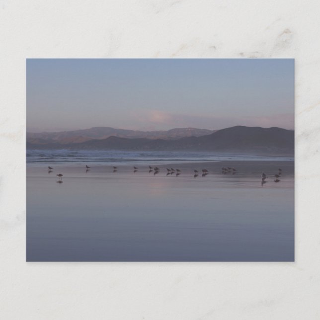 Soft California Coast Sunset Postkarte (Vorderseite)