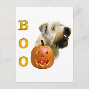 Soft Coat Wheaten Terrier Boo Postkarte
