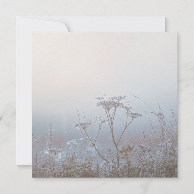 Soft Frosty Morning Nature Karte (Vorderseite)