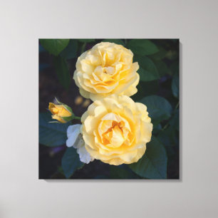 Soft-Gold-Rose Leinwanddruck