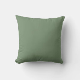 Soft Green Solid Color, Simple,Modern, Trendy Kissen