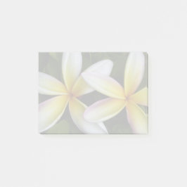Soft Hawaiian Plumerias Post-it Klebezettel