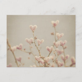 Soft Heart Blossom Postcard – Romantic Botanical  Postkarte