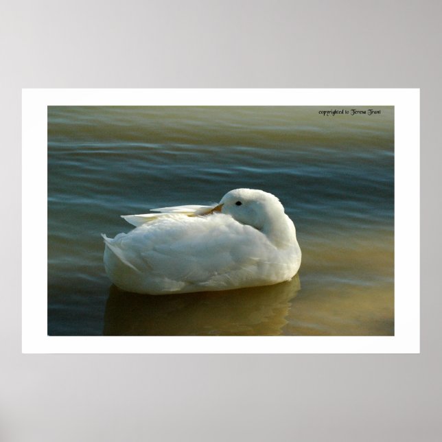 Soft in White Poster (Vorne)