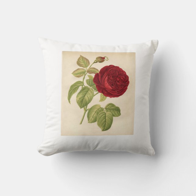 Soft Kissen Design mit schöner Rose (Vorderseite)
