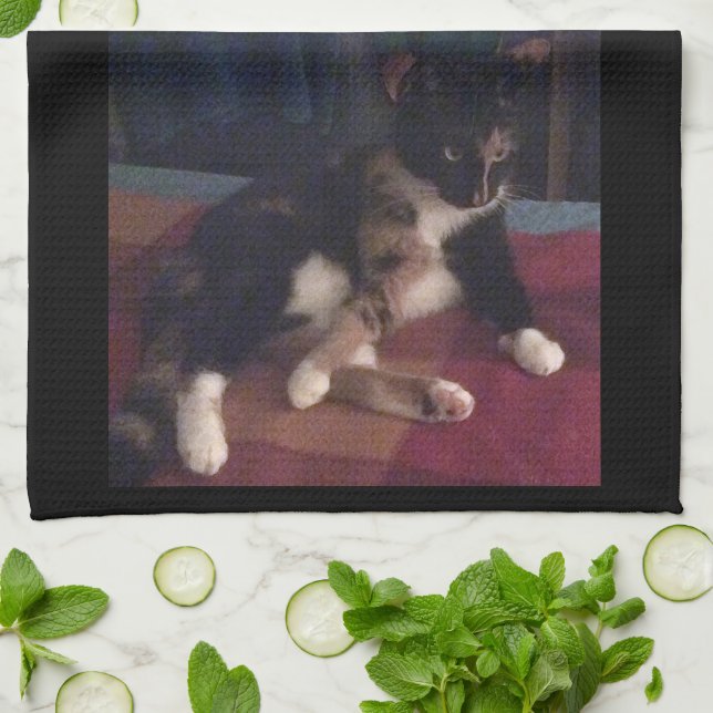 Soft Kitty Paws Küchentuch (Gefaltet)