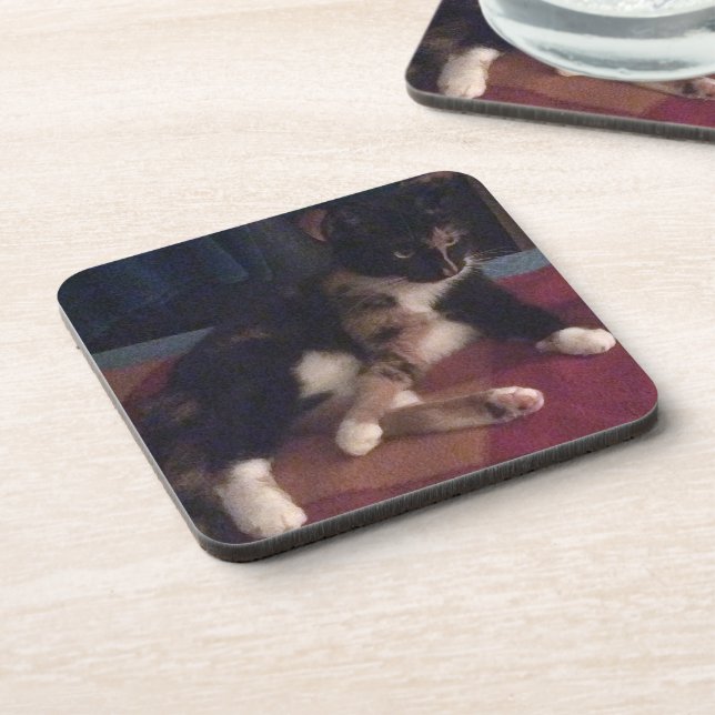 Soft Kitty Paws Untersetzer (Linke Seite)