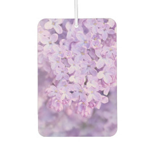 Soft Lila französische Lilacs Autolufterfrischer