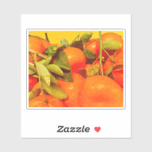 Soft Orange Frucht Ästhetik