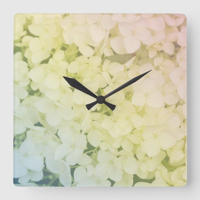  Soft Pastel Rainbow Hydrangea Quadratische Wanduhr (Vorderseite)