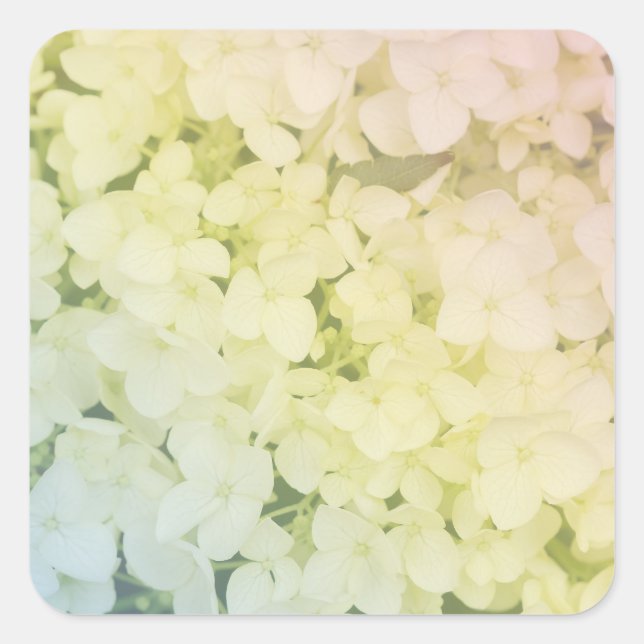  Soft Pastel Rainbow Hydrangea Quadratischer Aufkleber (Vorderseite)