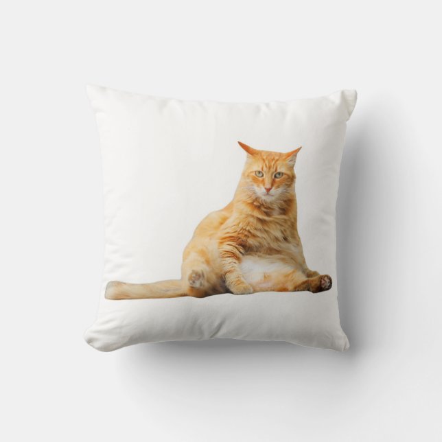 Soft pillow with a cute orange cat kissen (Vorderseite)