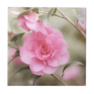 Soft Pink Camellia-Blume Fliese