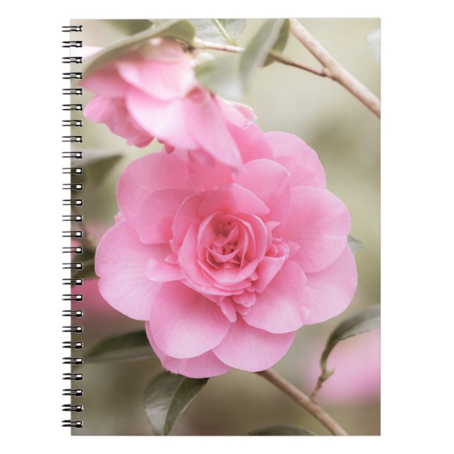 Soft Pink Camellier Blume Notebook Notizblock (Vorderseite)