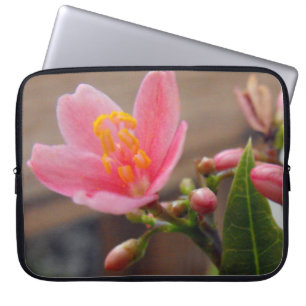 Soft Pink Jatropha Blume Laptopschutzhülle