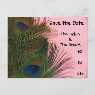 Soft Pink Peacock Feathers Save the Date Ankündigungspostkarte