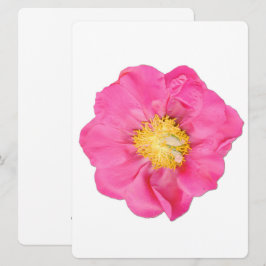 Soft Pink Pfingstrose Blumen Botanische Kunstkarte Einladung