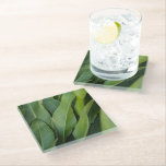 Soft ropical Green Leaves Botanical Glasuntersetzer<br><div class="desc">Bring a sense of calm nature indoors with this soft tropical leaf photography coaster. Fresh green leaves in soft focus create a peaceful botanical aesthetic. Perfect for plant-inspired interiors,  kitchens,  or nature-themed home decor.

My authentic art photo,  taken in Martinique,  2026.</div>
