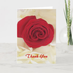Soft Rote Rose Danke, Cards Dankeskarte