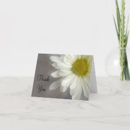 Soft White Daisy auf Gray Vielen Dank, Ihr Hinweis Dankeskarte