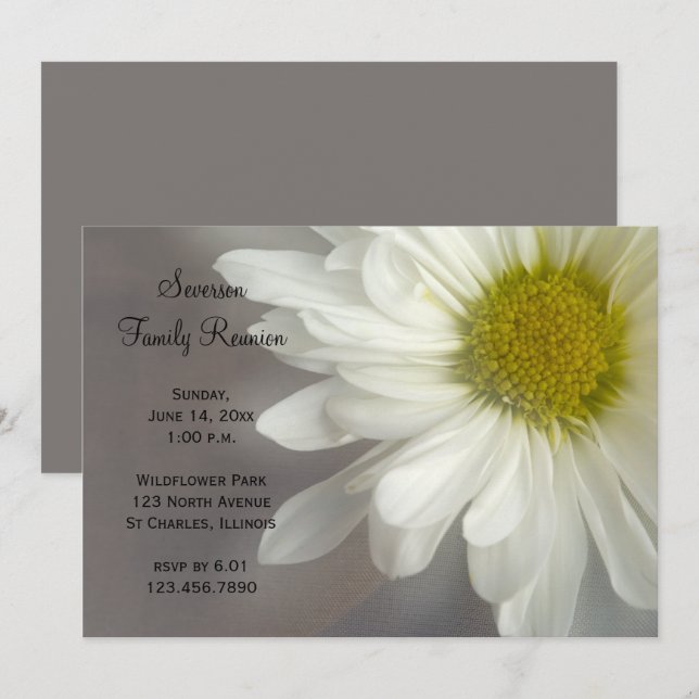 Soft White Daisy Family Wiedersehen Einladung (Vorne/Hinten)