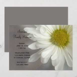 Soft White Daisy Family Wiedersehen Einladung
