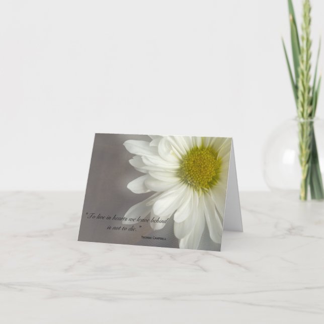 Soft White Daisy Vielen Dank für Ihr Beileid Dankeskarte (Vorderseite)