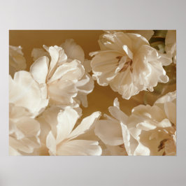 Soft White Floral Poster