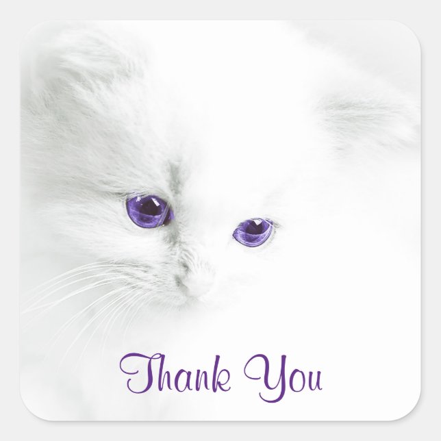 Soft White Kitten mit Lila Augen Vielen Dank Quadratischer Aufkleber (Vorderseite)