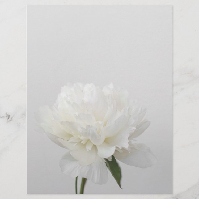 Soft white minimalist peony scrapbook paper (Vorderseite)